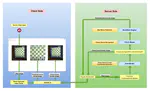 Yolo Segmentation Chess